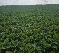 410-2026