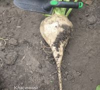 680-2026
